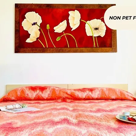 Casa In Maremma Tuscany Village Tatil parkı