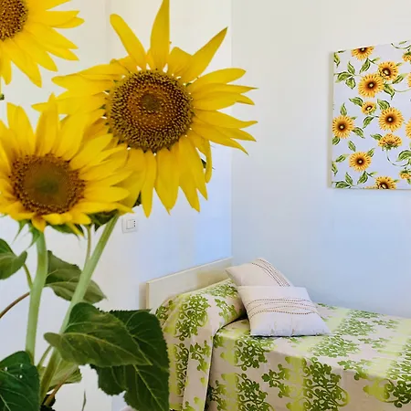 Casa In Maremma Tuscany Village Feriepark